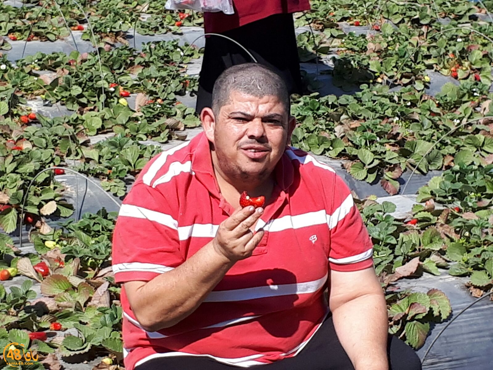 ab7bableaqsaa3 (36).jpg